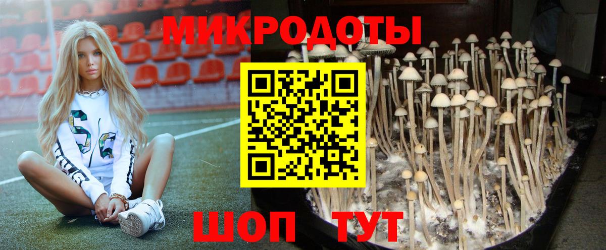 Галлюциногенные грибы Cubensis Белгород