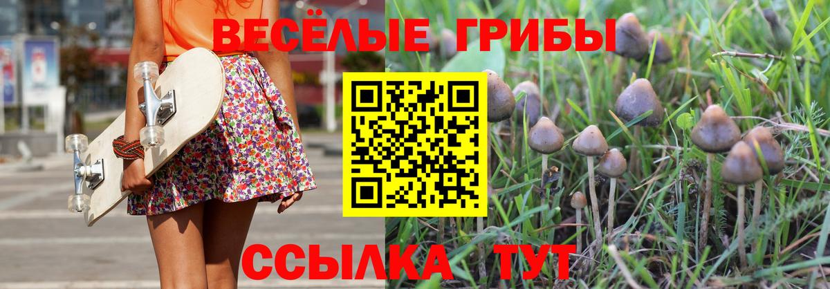 Галлюциногенные грибы Psilocybe  Вход с VPN  Белгород  Галлюциногенные грибы MAGIC MUSHROOMS 